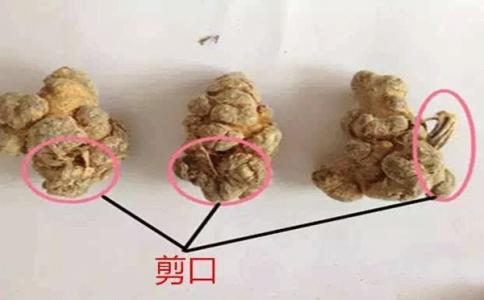 三七剪口示意圖